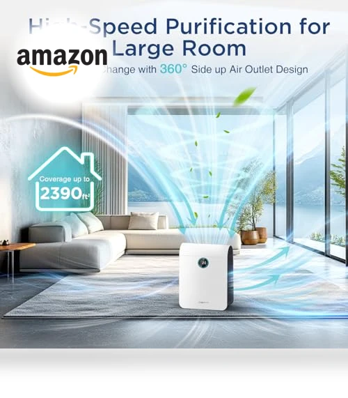 Large Room Air Purifier with PM 2.5 Display — Activated Carbon Air Purifiers, DBFIT