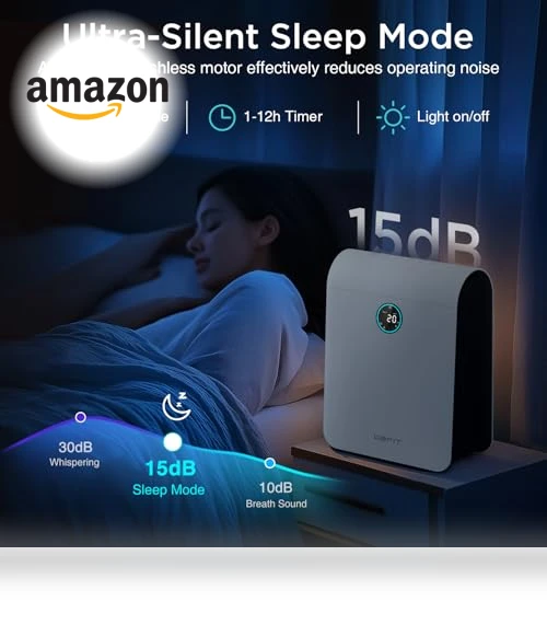 Large Room Air Purifier with PM 2.5 Display — Activated Carbon Air Purifiers, DBFIT