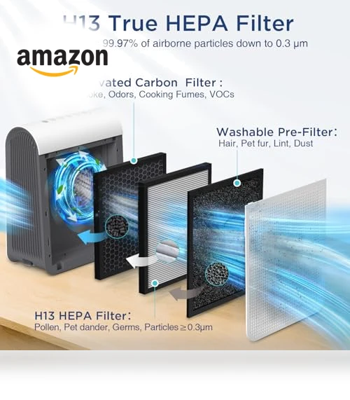 Large Room Air Purifier with PM 2.5 Display — Activated Carbon Air Purifiers, DBFIT