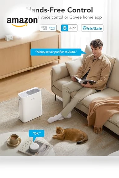 Smart Air Purifier — Activated Carbon Air Purifiers, GoveeLife