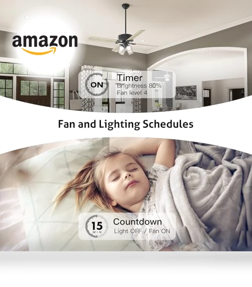 Smart Ceiling Fan Control and Dimmer Light Switch — Ceiling Fan Wall Controls, TREATLIFE