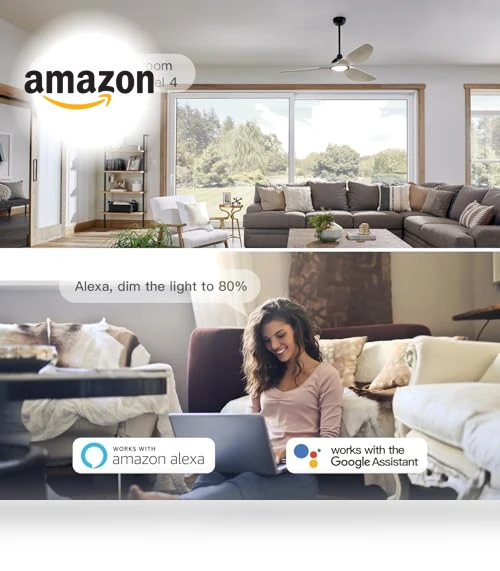 Smart Ceiling Fan Control and Dimmer Light Switch — Ceiling Fan Wall Controls, TREATLIFE