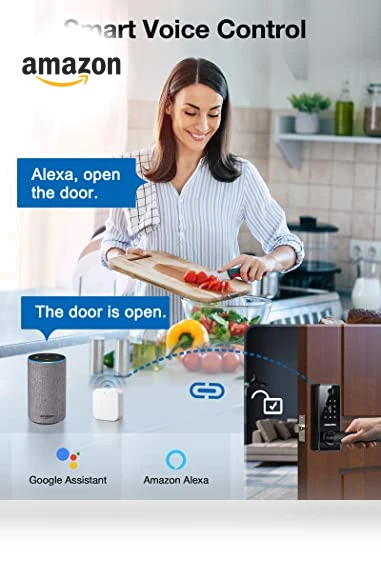 Smart Door Lock with Handle — Luggage Locks, GEONFINO