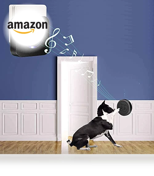 Smart Wireless Dog Doorbells for Potty Training — Doorbells, EverNary