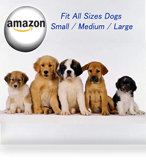 Smart Wireless Dog Doorbells for Potty Training — Doorbells, EverNary