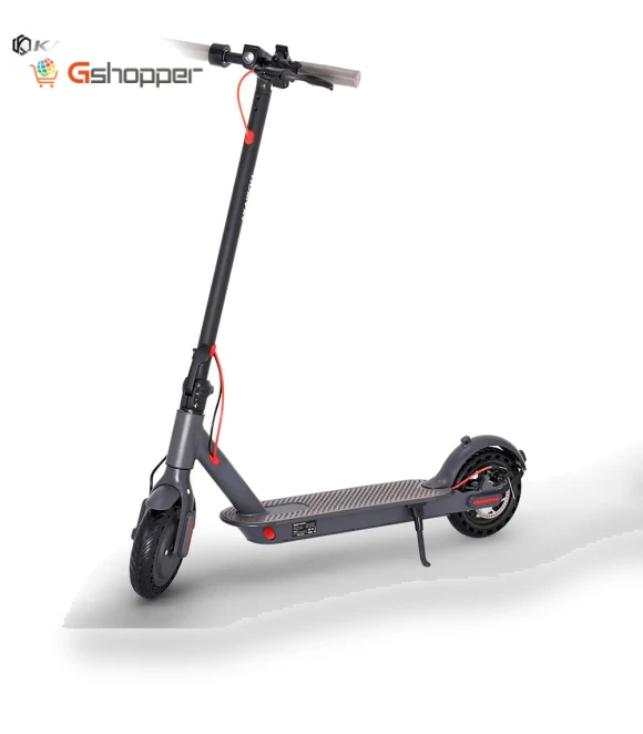 Adult Electric Scooter — Electric Self-Balancing Scooters