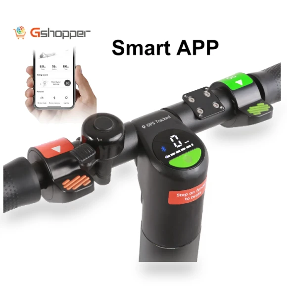 Original Electric Scooter — Electric Self-Balancing Scooters, SUNNIGOO