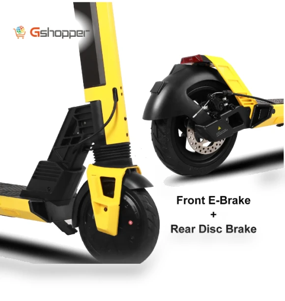 Removable Battery Electric Scooter — Push Scooters, SUNNIGOO