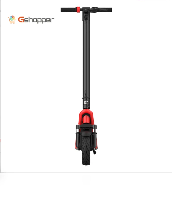Long Cruising City Electric Scooter — Electric Self-Balancing Scooters