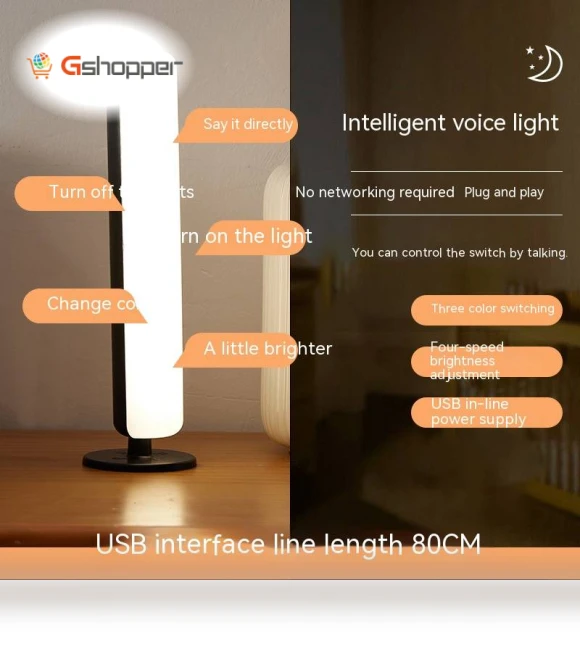 Voice Control Lamp — Standing Lights