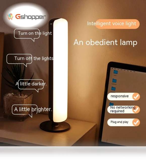 Voice Control Lamp — Standing Lights