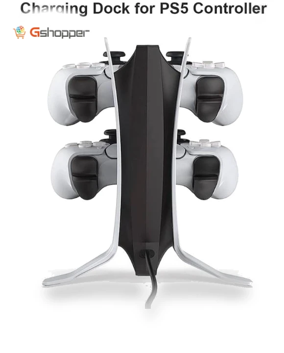 Charging Base with Dual Cable — Accessories, Ggomi