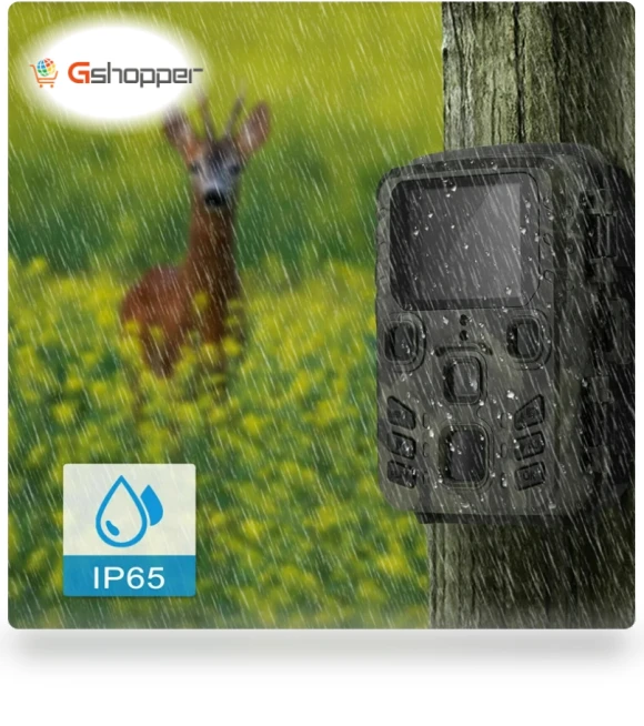 Hunting Camera Trail Wildlife Cameras Outdoor Night Vision Photo Trap — Outdoor & Wildlife Cameras, Suntekcam