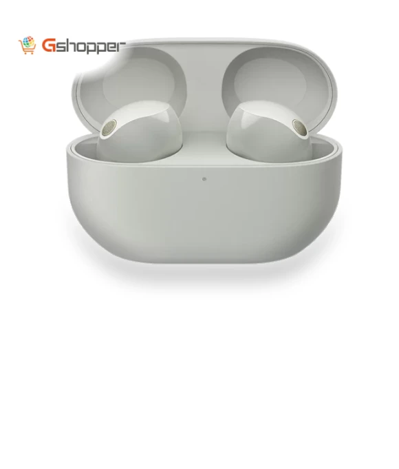 Noise-Canceling True Wireless In-Ear Headphones — In-Ear Headphones, Sony