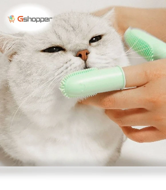 Double Finger Toothbrushes for Pet Teeth Cleaning — Toothbrushes