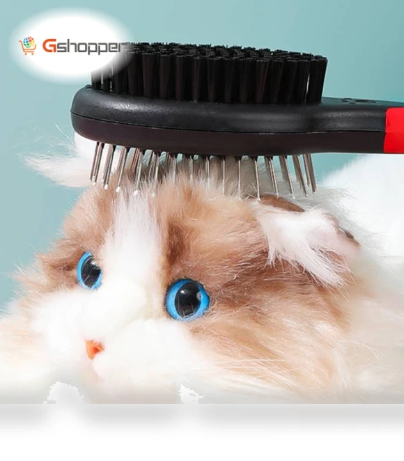 Double-sided comb with protective points — Combs