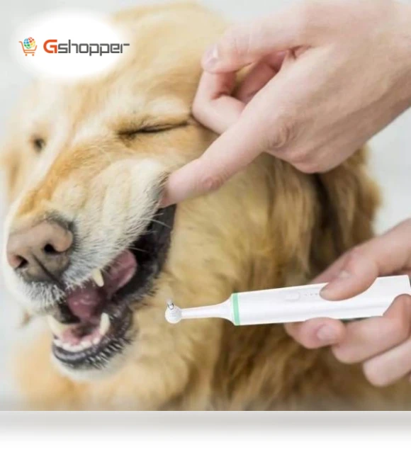 Electric Toothbrush for Pets — Toothbrushes