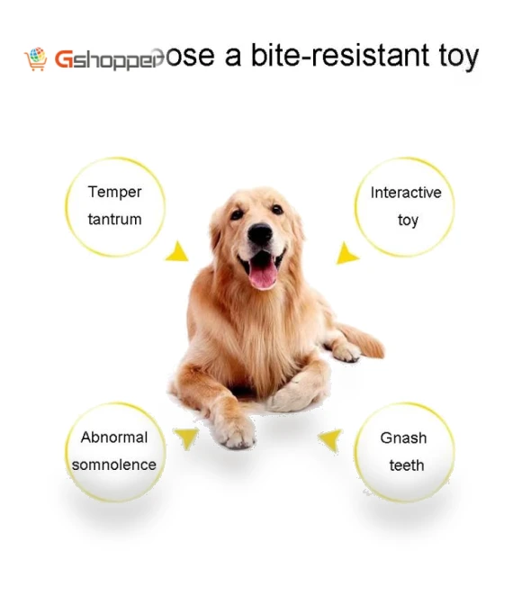 Knot Pet Bite Resistant Teeth Cleaning Toy — Chew Toys