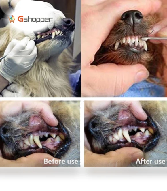 Pet Teeth Cleaning Tool — Toothbrushes