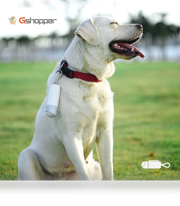 Portable Dog Toilet Bowl with LED Lighting — Travel