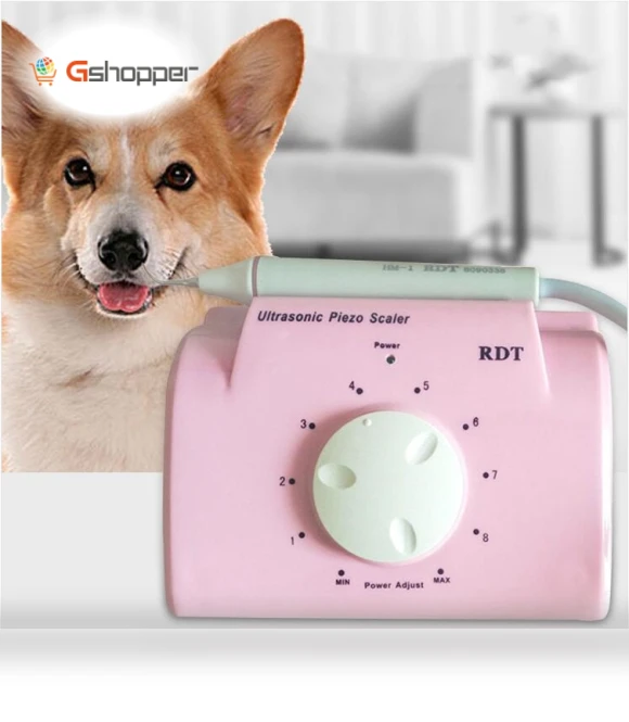 Ultrasonic Cleaning Machine for Pet Dogs — Ultrasonic Cleaners