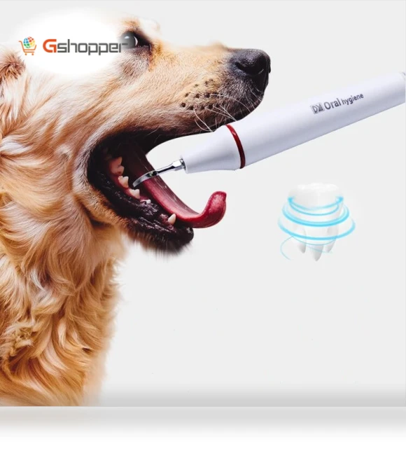 Ultrasonic Cleaning Machine for Pet Dogs — Ultrasonic Cleaners
