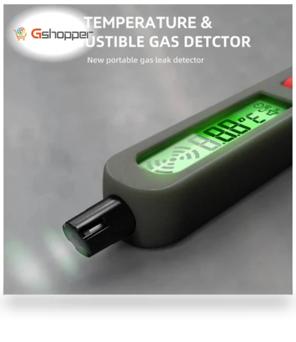 Combustible Gases Leak Detector — Gas Safety Equipment, BSIDE