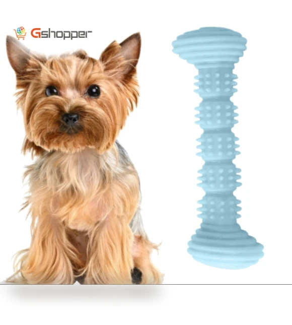 Teething Toys Chewing Gnawing Dog Toothbrush — Chew Toys