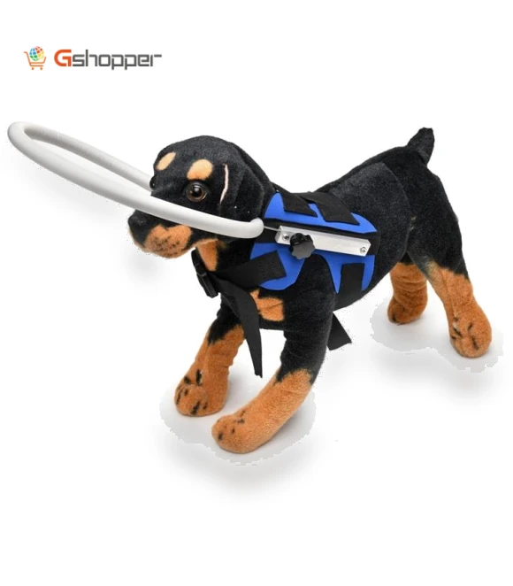 Anti-Collision Ring for Dogs — Sunglasses