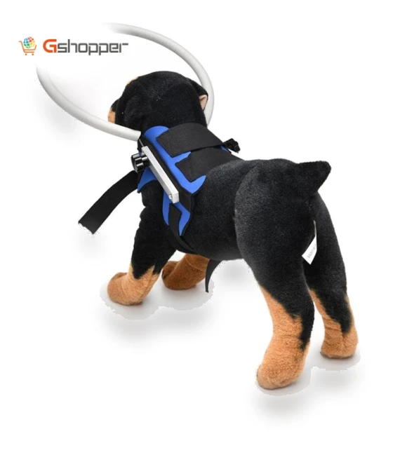 Anti-Collision Ring for Dogs — Sunglasses