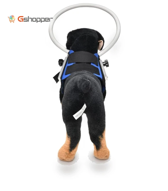 Anti-Collision Ring for Dogs — Sunglasses