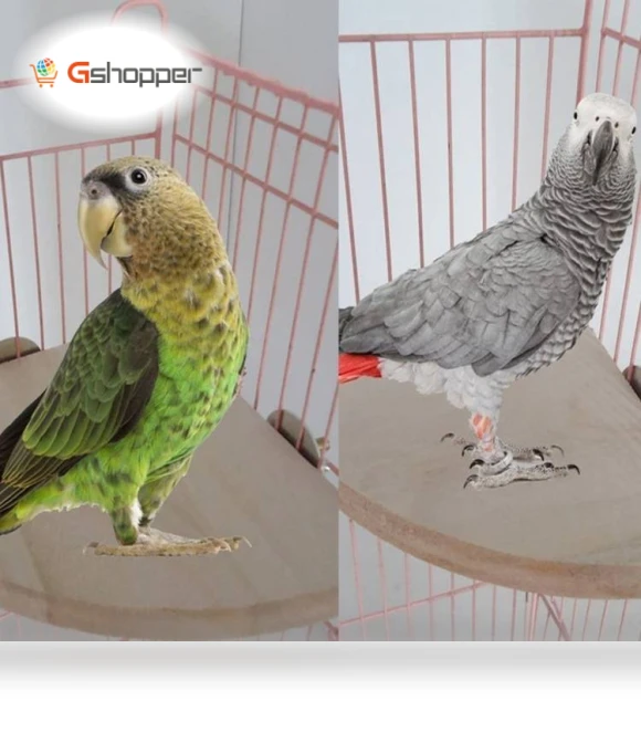 Fan-Shaped Platform Station Board Hamster Springboard Rest Platform — Exercise Wheels, Parrot Log