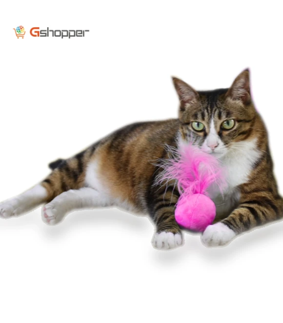 Feathers Tease Cats Toys Plush Pet Cat Toys — Cat Playthings