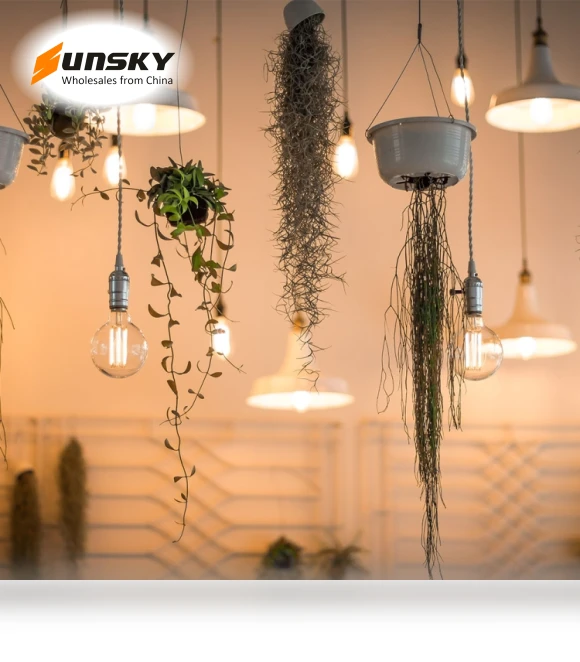 Retro Edison Light Bulb — Incandescent