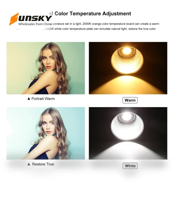 60W Studio Video Light — Photography Lighting & Studio Equipment, PULUZ