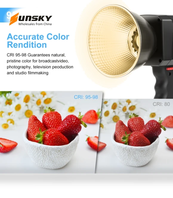 60W Studio Video Light — Photography Lighting & Studio Equipment, PULUZ