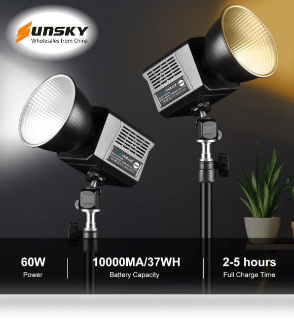 60W Studio Video Light — Photography Lighting & Studio Equipment, PULUZ