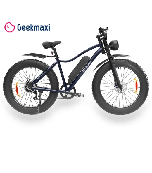 Electric Bike — E-Bikes, isinwheel