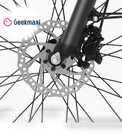 Electric Bike — Electric Self-Balancing Scooters, Eleglide
