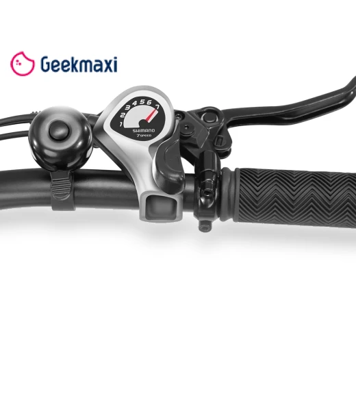 Electric Bike — Electric Self-Balancing Scooters, Eleglide