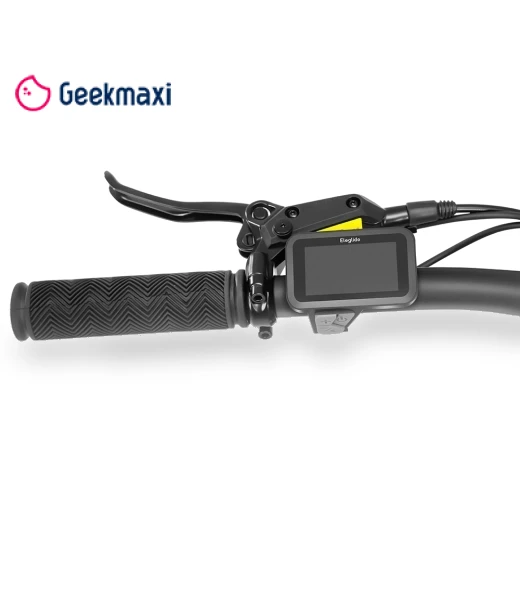 Electric Bike — Electric Self-Balancing Scooters, Eleglide