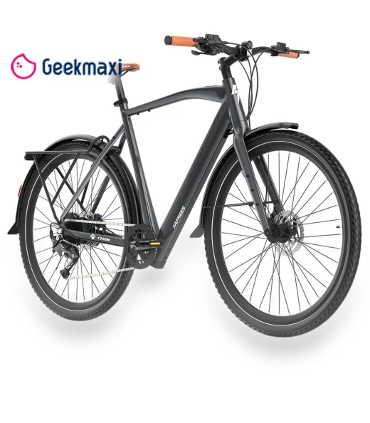 Electric Bike — Electric Self-Balancing Scooters, Fafrees