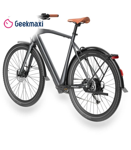 Electric Bike — Electric Self-Balancing Scooters, Fafrees