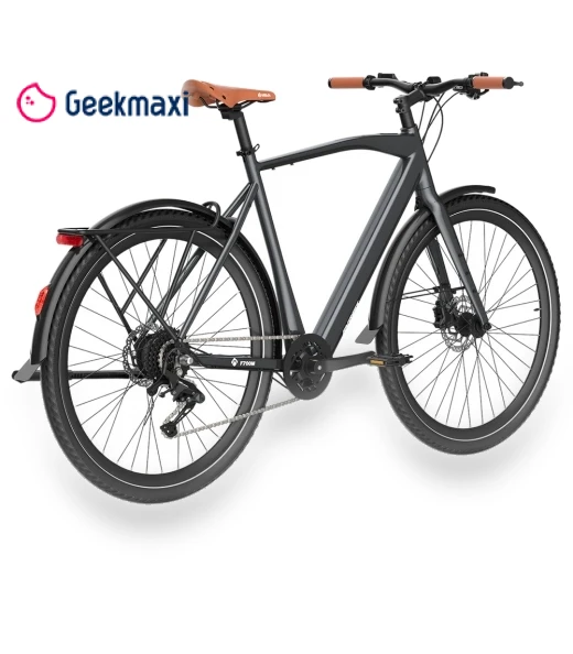 Electric Bike — Electric Self-Balancing Scooters, Fafrees