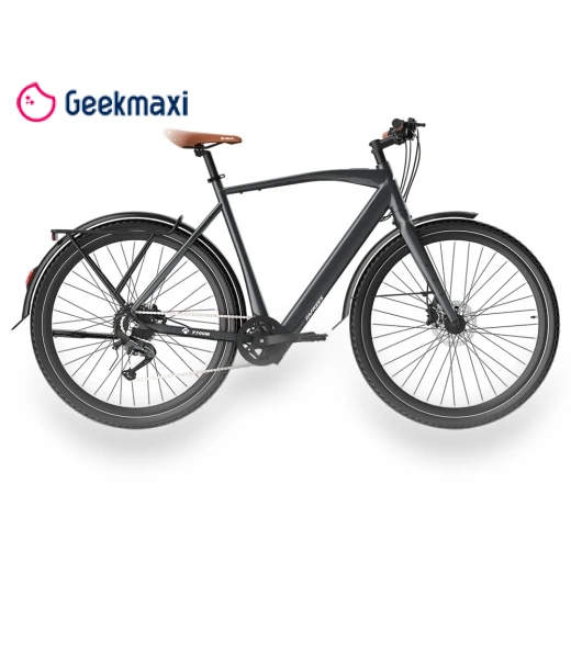 Electric Bike — Electric Self-Balancing Scooters, Fafrees