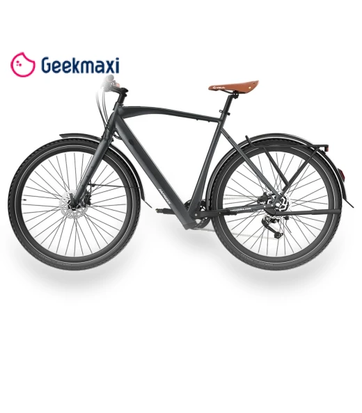 Electric Bike — Electric Self-Balancing Scooters, Fafrees