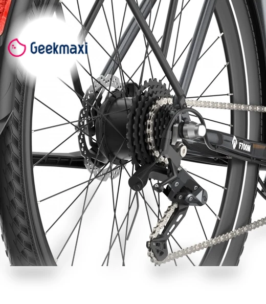 Electric Bike — Electric Self-Balancing Scooters, Fafrees