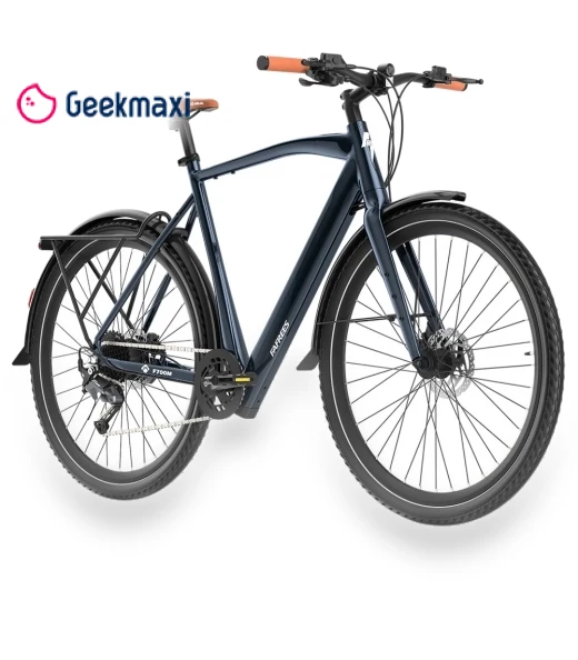 Electric Bike — Electric Self-Balancing Scooters, Fafrees