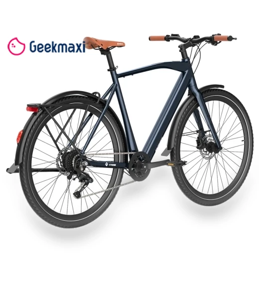 Electric Bike — Electric Self-Balancing Scooters, Fafrees