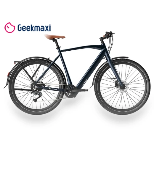 Electric Bike — Electric Self-Balancing Scooters, Fafrees